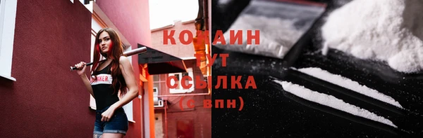 стафф Арсеньев