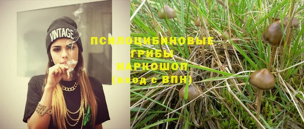 шишки Армянск