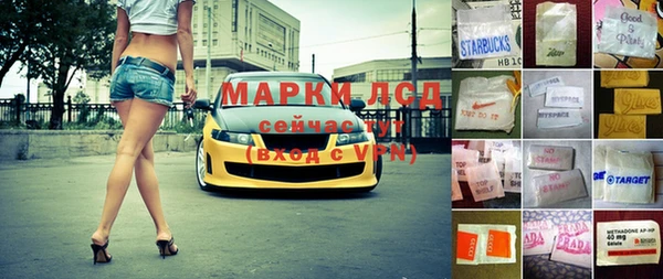 стафф Арсеньев