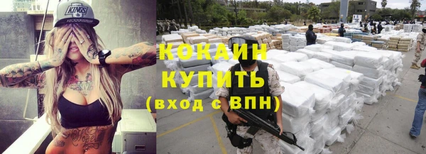 стафф Арсеньев